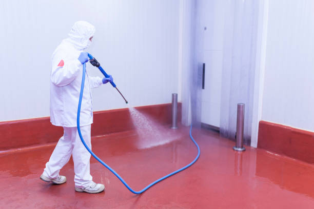 Reliable Stuart, IA Pressure Washing Services Solutions